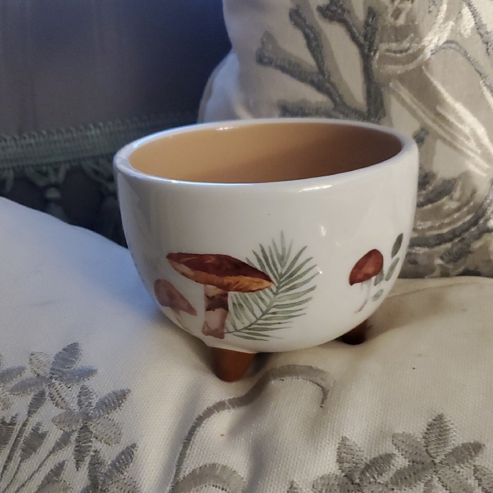 Artisan Ceramic Planter with Mushroom Motif